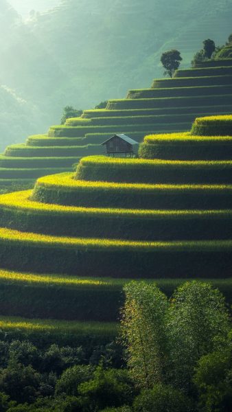 Hình ảnh làng quê Việt Nam thanh bình