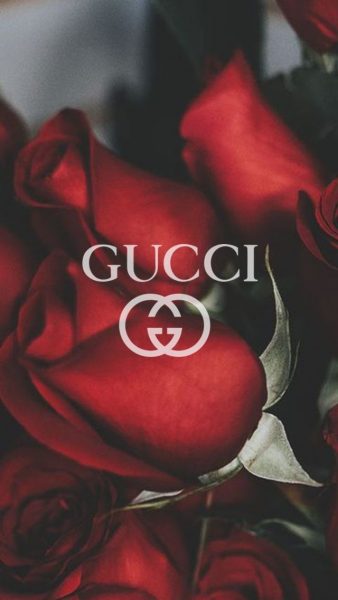 hình ảnh Gucci nền hoa hồng