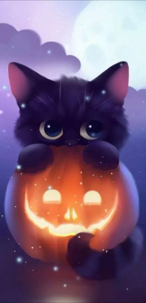 Nettes Halloween-Bild, super nette Katze