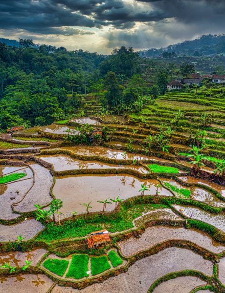 Bilder von vietnamesischen Dörfern, Fotos von Wasserfeldern von oben