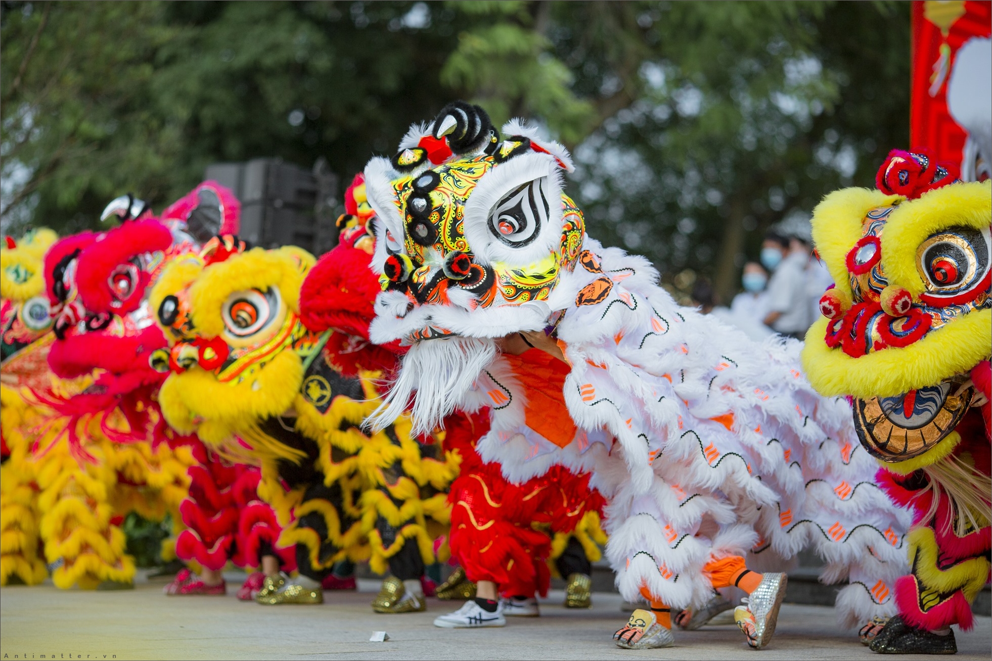 Những màn múa lân sư rồng sẽ khiến bạn chìm đắm trong âm nhạc và màu sắc sôi động. Cùng thưởng thức những vũ điệu phong cách Trung Hoa đầy cảm hứng, hấp dẫn mà được trình diễn bởi các vũ công tài năng và sáng tạo.
