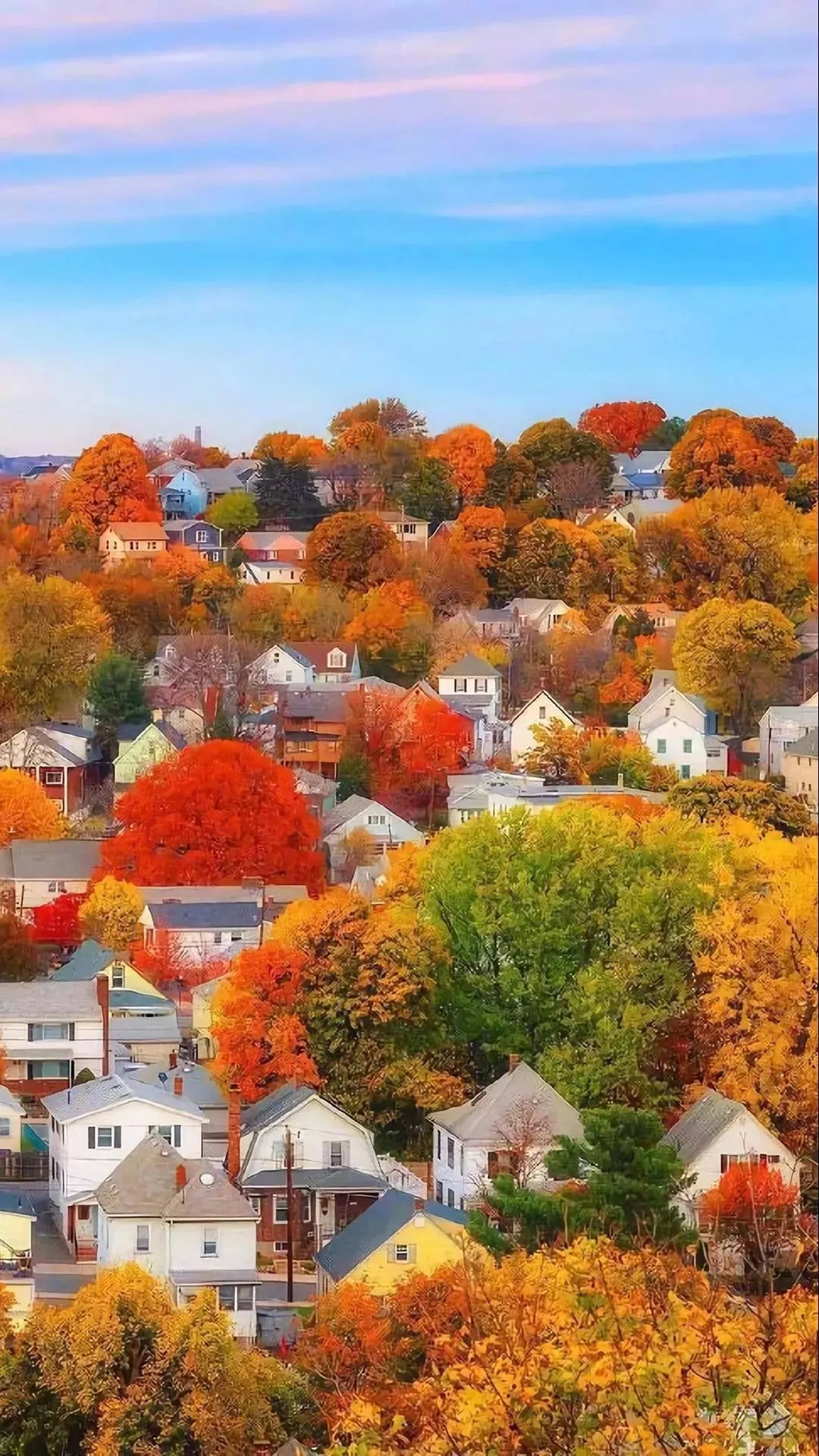 Mùa thu đã đến và bạn muốn tìm kiếm những hình ảnh đẹp nhất để trang trí cho điện thoại hay máy tính của mình? Những cảnh thiên nhiên trong mùa thu với sắc đỏ, vàng, cam đan xen cùng nhau tạo nên một bức tranh hoàn hảo, đạt đến đỉnh cao về cảm xúc và tinh tế.