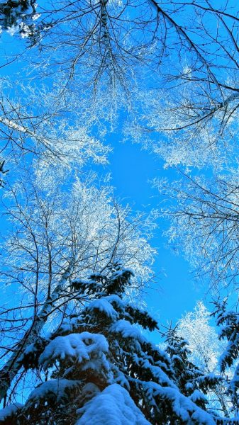 Bild von Schnee, der ins Sonnenlicht fällt