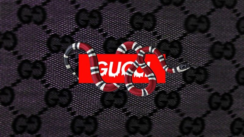 Hình Gucci