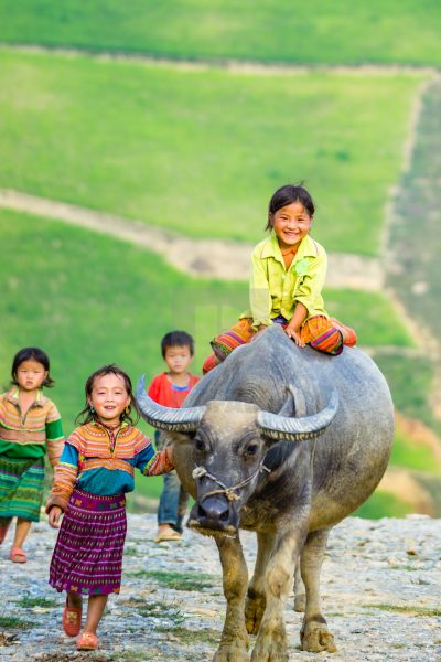 Bilder von vietnamesischen Dörfern, Kinder auf dem Land