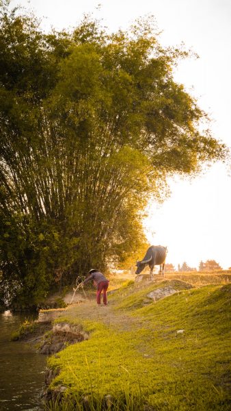 Hình ảnh làng quê Việt Nam xưa thật đẹp