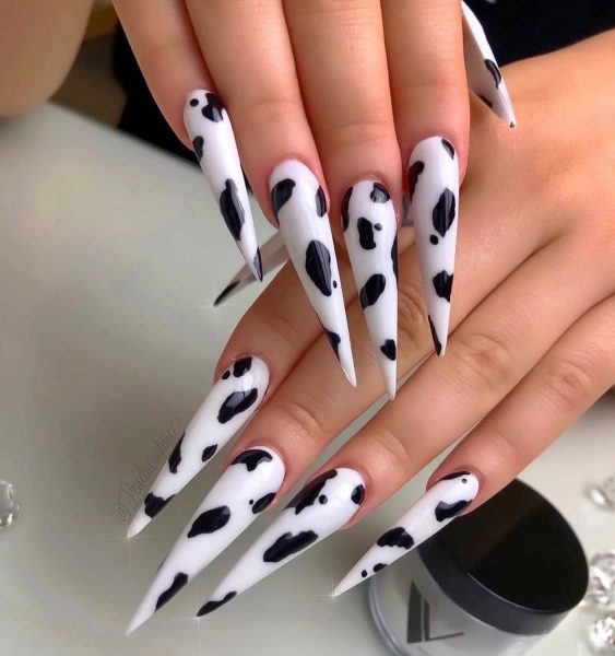 Hình mẫu nail màu trắng họa tiết bò sữa