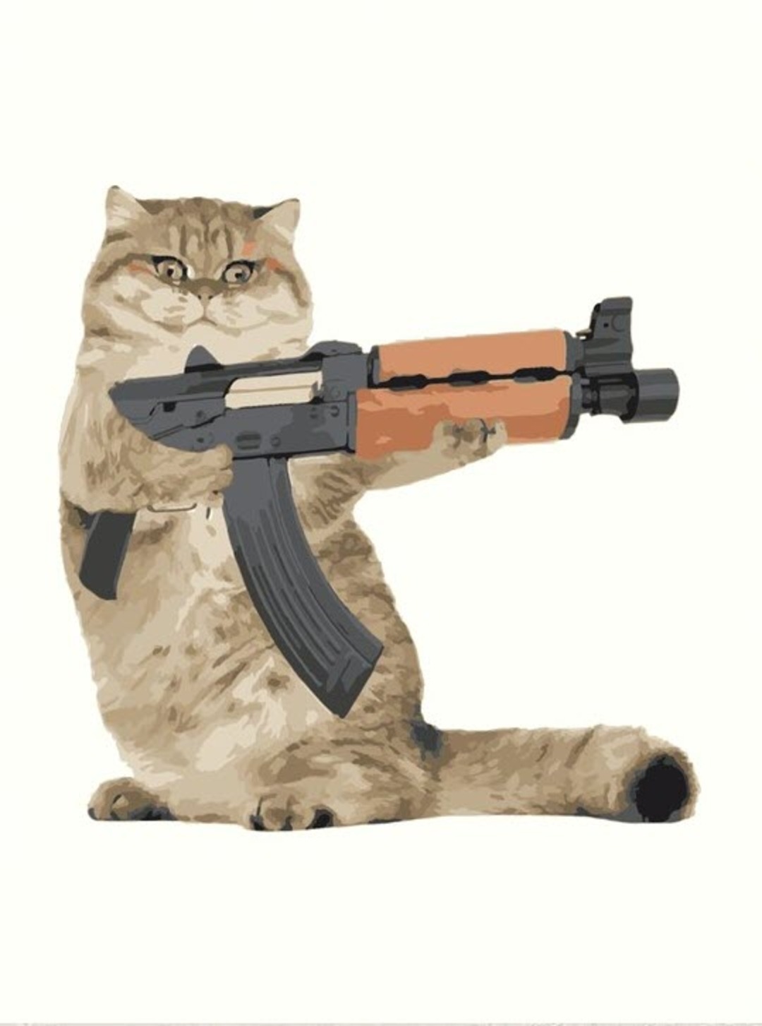 Hình ảnh Mèo cầm súng FF TikTok