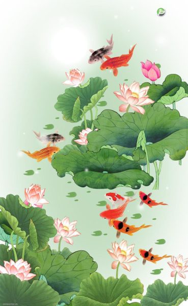 Hình nền cá Chép và hoa Sen