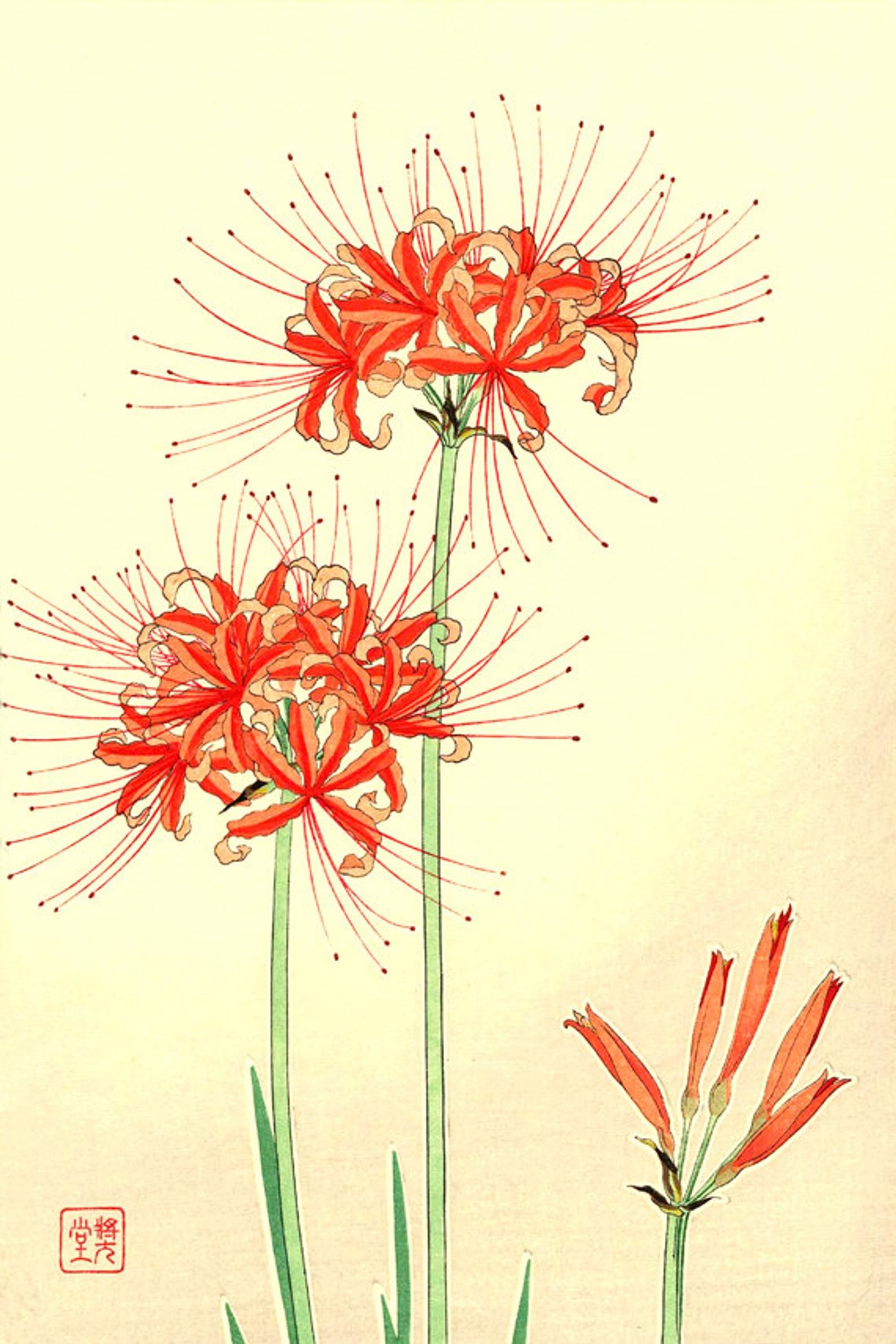 Hình nền máy tính để bàn Thiết kế hoa Hoa màu nước Vẽ tranh Đồ họa mạng di  động  hoa png tải về  Miễn phí trong suốt Màu Hồng png