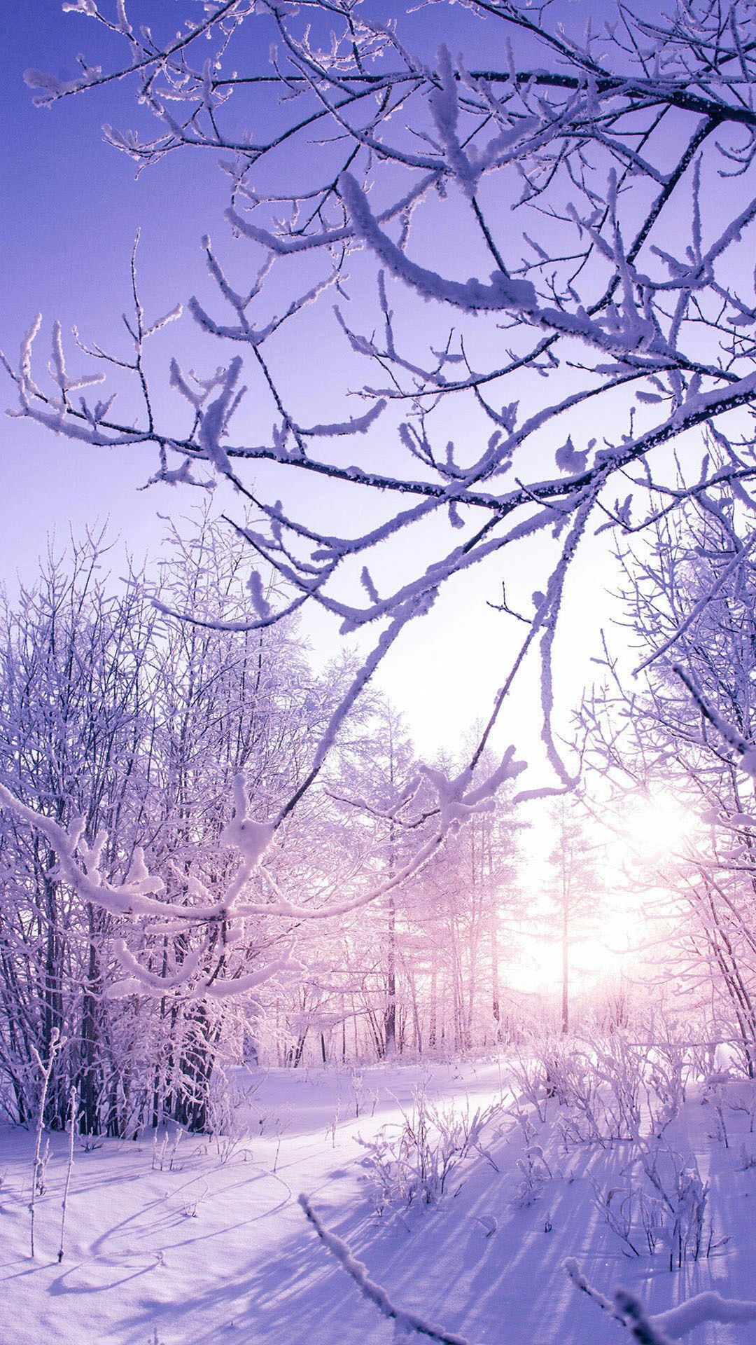 Chia sẻ hơn 55 về hình nền mùa đông cho điện thoại hay nhất   cdgdbentreeduvn
