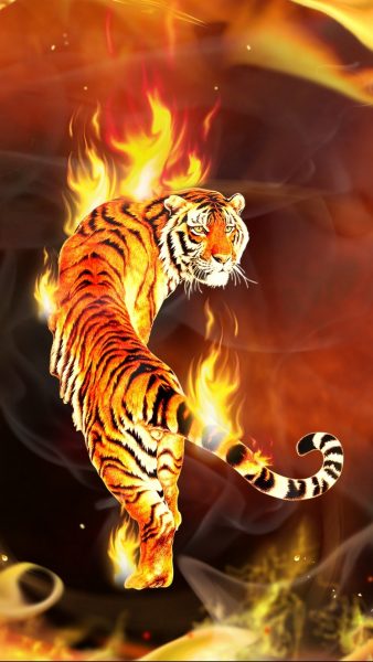 hình nền ngọn lửa con hổ mạnh mẽ