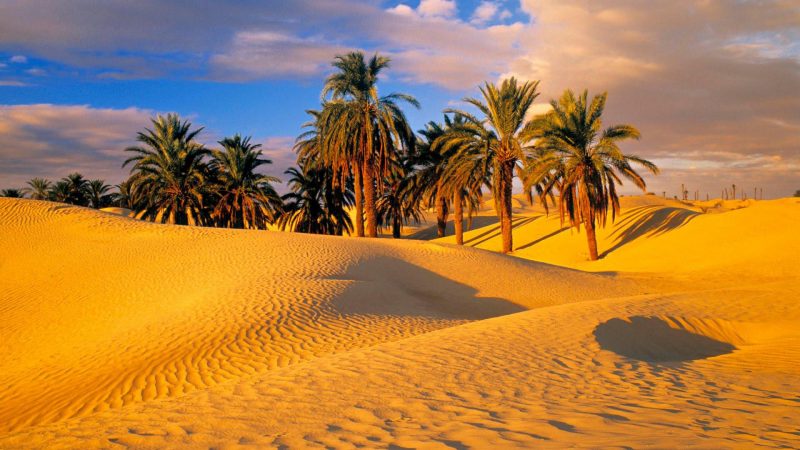 Hình nền phong cảnh thiên nhiên trên sa mạc