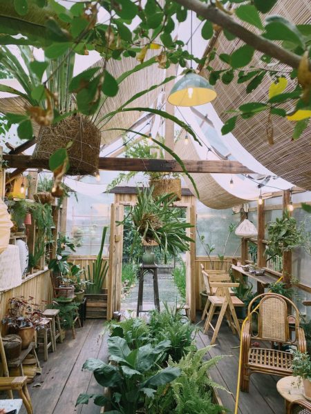 Hình quán cafe sân vườn đẹp