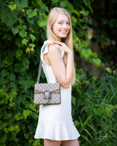 Mẫu túi xách Gucci dionysus mini