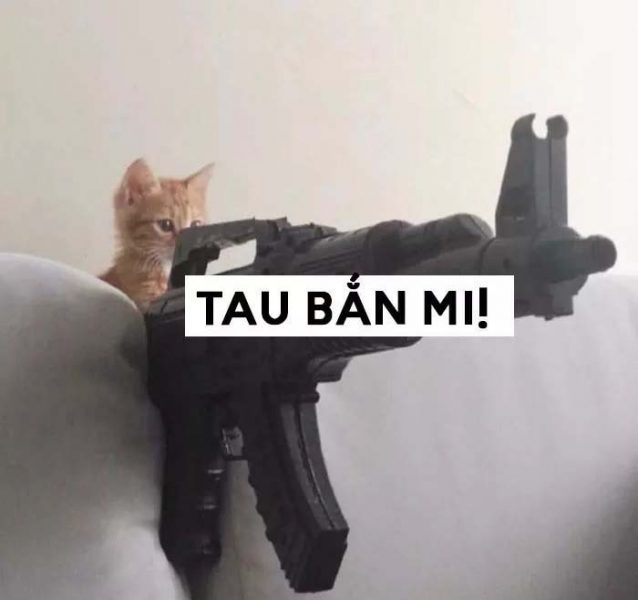 Meme mèo cầm Súng