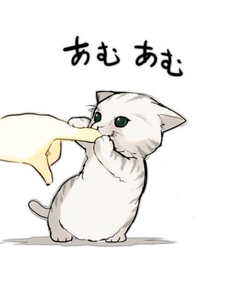 ảnh anime mèo đáng yêu