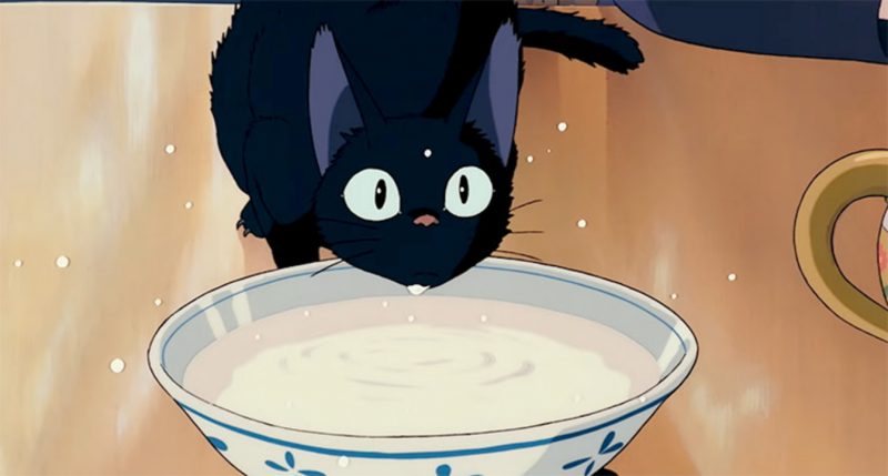 ảnh anime mèo uống sữa