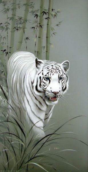 Hình ảnh 3D của hổ trắng