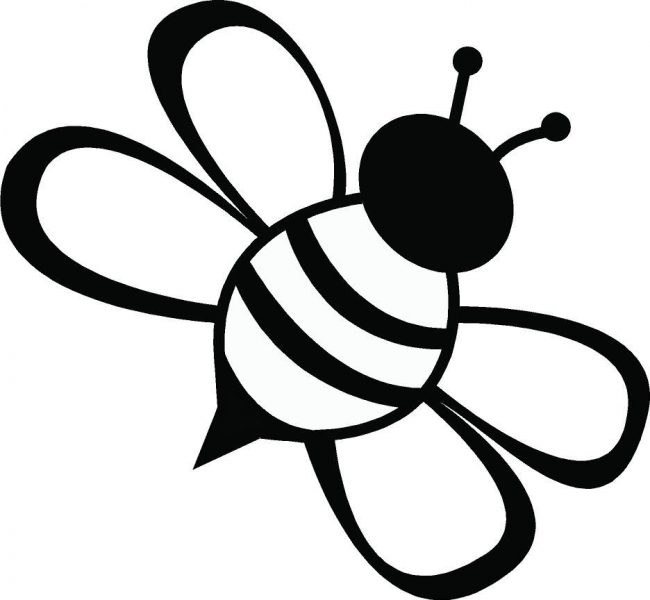 Tranh tô màu con ong đầu đen