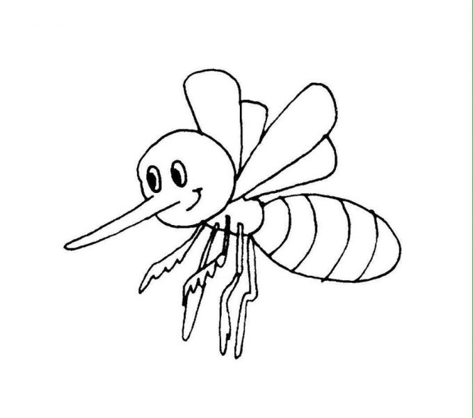 Tranh tô màu con ong vòi