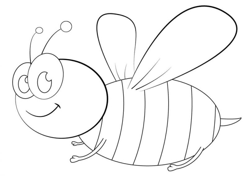 Tranh tô màu con ong tung cánh