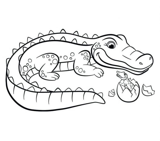 vẽ cá sấu dễ thương