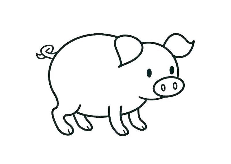 vẽ con lợn dễ thương