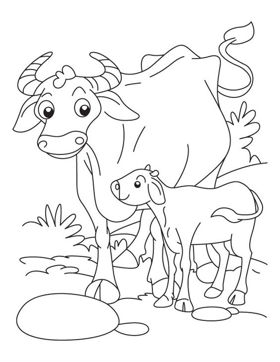 Hướng dẫn cách vẽ con Trâu gặm cỏ  How to draw buffalo  Zoom Zoom TV   YouTube