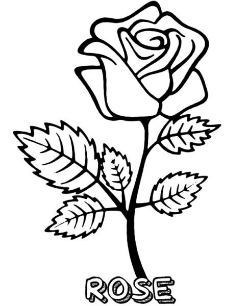 vẽ hoa hồng tặng mẹ