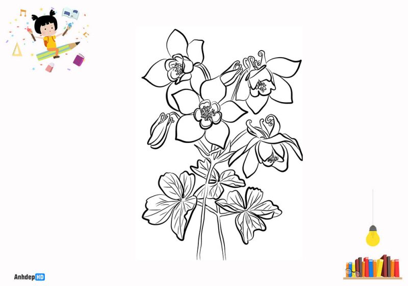 Hình cho bé tập vẽ những bông hoa xinh đẹp nhất  Kids ArtMusic Saigon