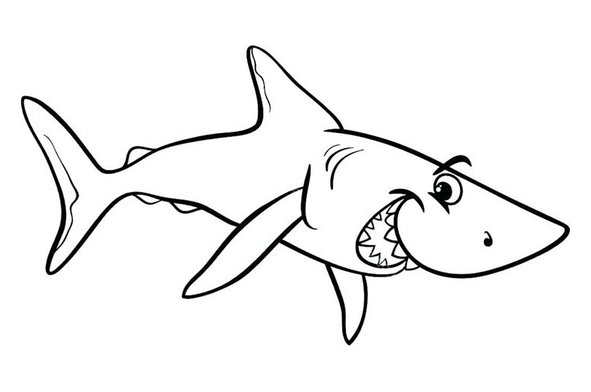Tổng hợp 63 về tranh tô màu cá mập hay nhất  trieuson5