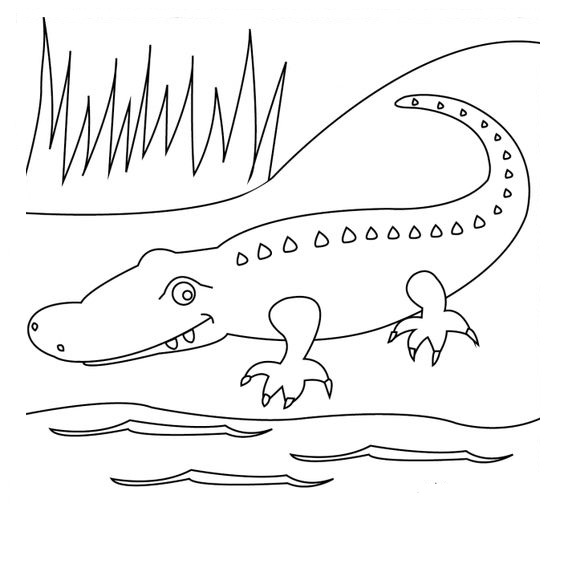 Tranh tô màu con cá sấu bên dòng nước