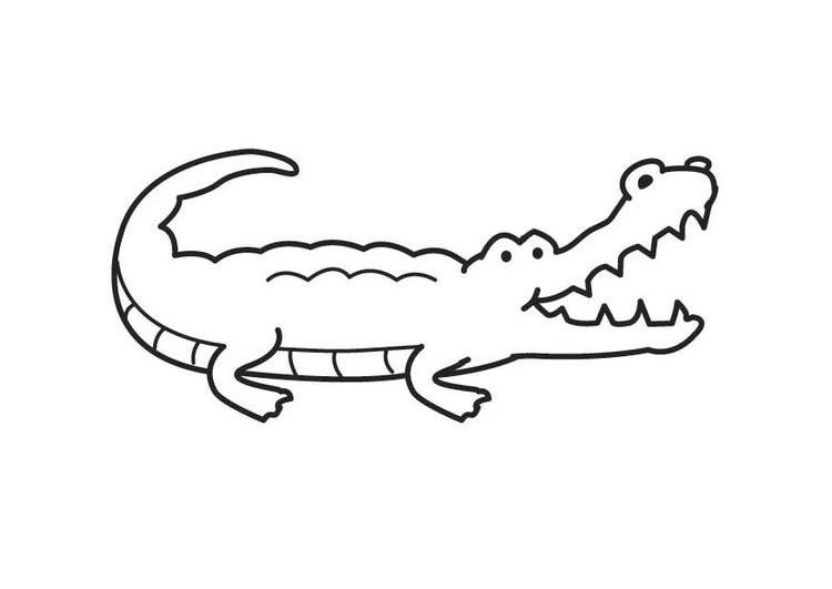 Tranh tô màu cá sấu há miệng