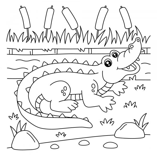 Tranh tô màu con cá sấu giữa bãi cỏ