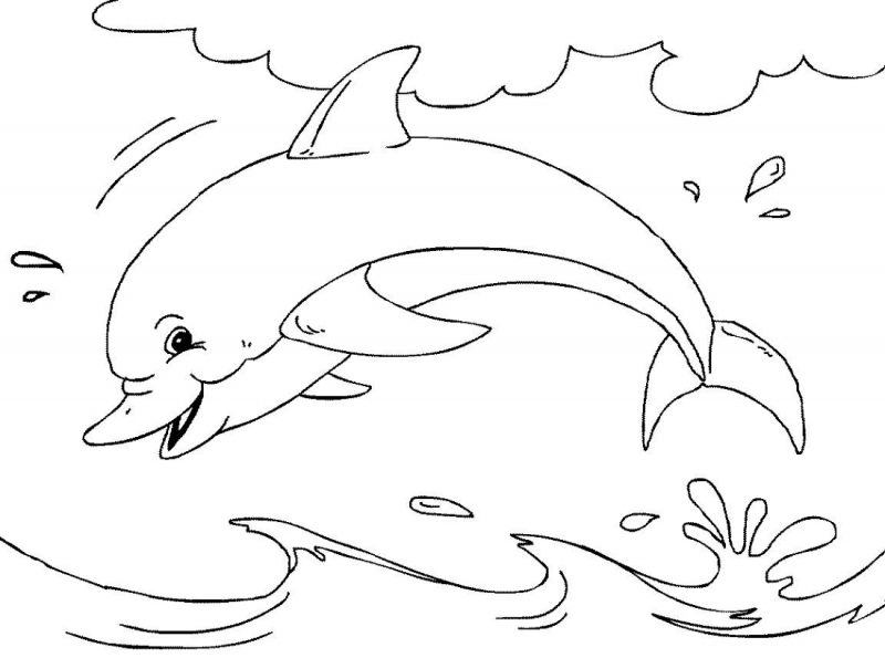 Tranh tô màu chú cá heo đang bơi