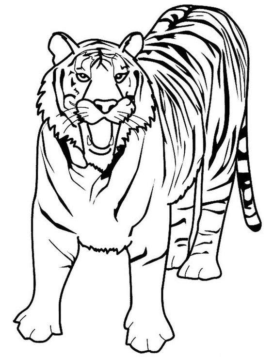 Tranh tô màu con hổ rất thú vị và được yêu thích bởi các em nhỏ. Hãy để con bạn khám phá thế giới màu sắc và vẽ cho mình một con hổ đáng yêu như trong tranh. Xem tranh và thử vẽ con hổ cho mình nhé!