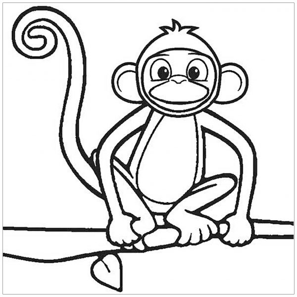 Tranh tô màu con khỉ ngồi trên cây