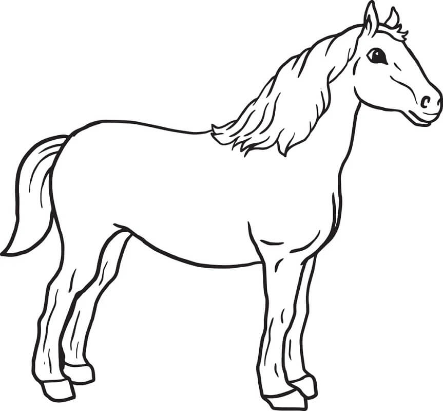 Tranh Tô Màu Con Ngựa Đẹp Oai Phong, Dễ Thương Đơn Giản