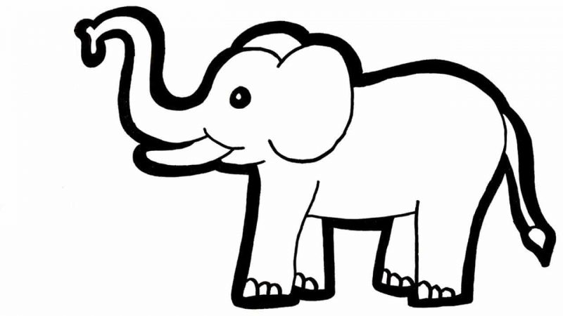 Tranh tô màu con voi đứng tạo dáng