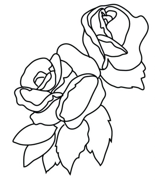 Tranh tô màu bông hoa hồng đặt cạnh nhau