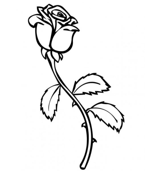 Tranh tô màu bông hoa hồng nghiêng