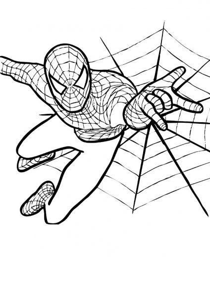 tranh tô màu người nhện và mạng nhện
