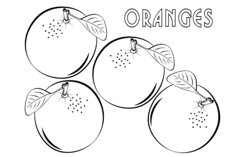 Tranh tô màu trái cam cạnh nhau