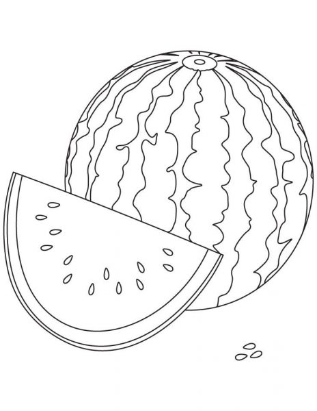 Tranh tô màu quả dưa hấu có nhiều hạt