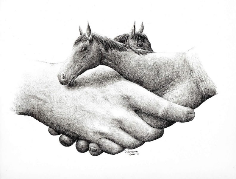 ảnh vẽ chì con ngựa và bàn tay