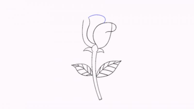 Hình Vẽ Bông Hoa- Cách Vẽ Bông Hoa Vừa Đẹp Vừa Dễ - Thivao10