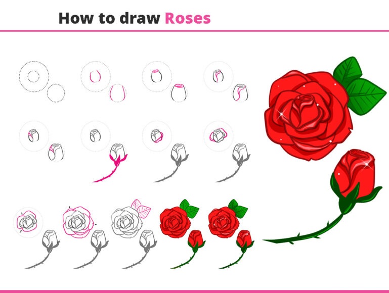 cách vẽ hoa hồng và nụ hoa