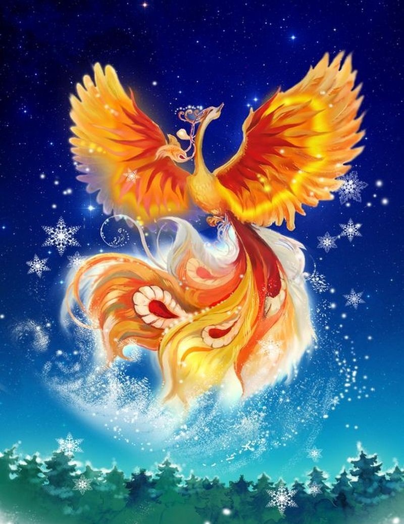 Phoenix Vẽ hình Xăm phượng hoàng Clip nghệ thuật  Phượng Hoàng png tải về   Miễn phí trong suốt Nghệ Thuật png Tải về