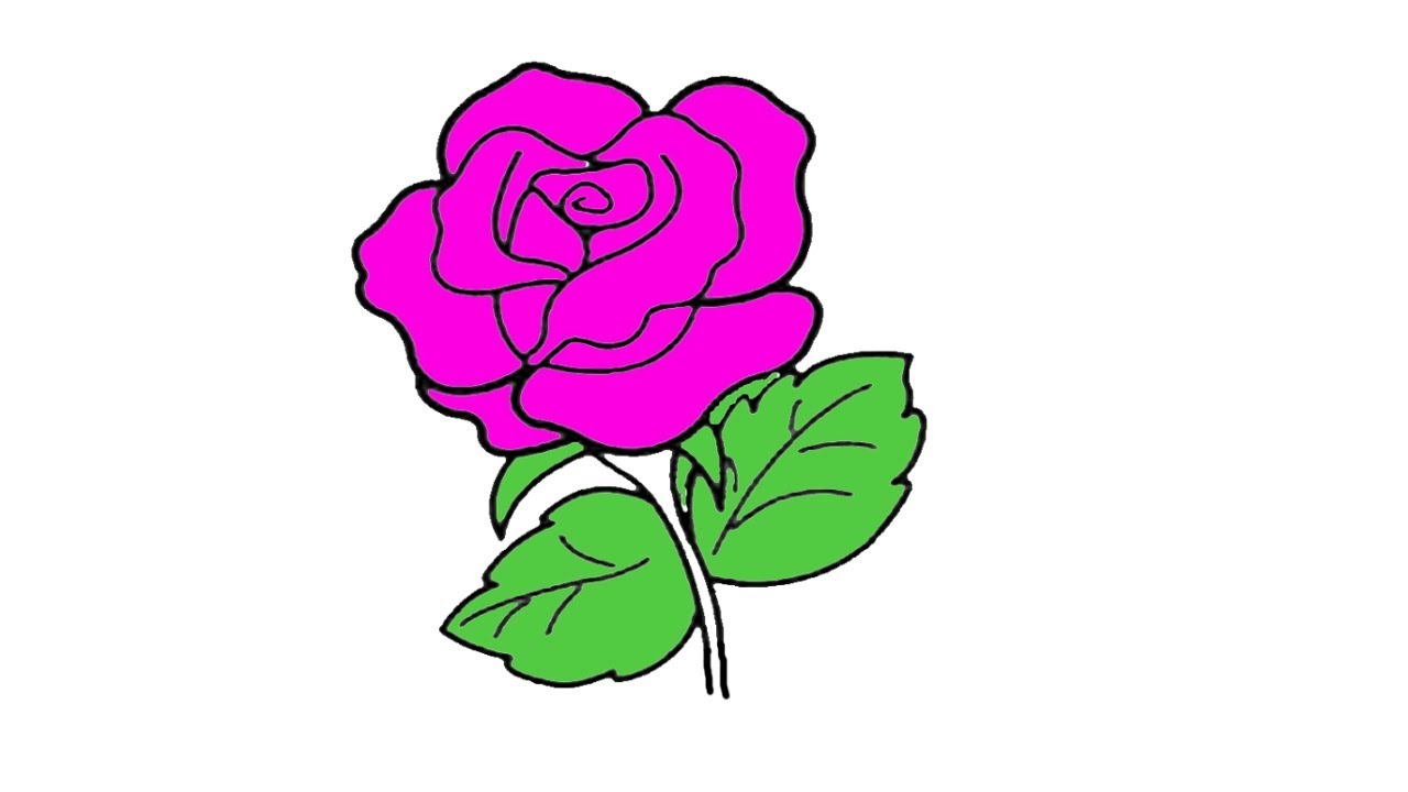 Top 374+ vẽ bông hoa hồng mới nhất - thtantai2.edu.vn